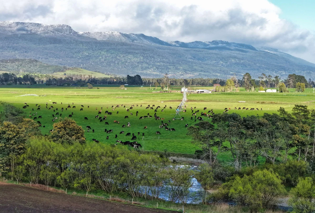 Additional image 2 of 1037 & 1044 Dairy Plains Road, Western Creek TAS 7304