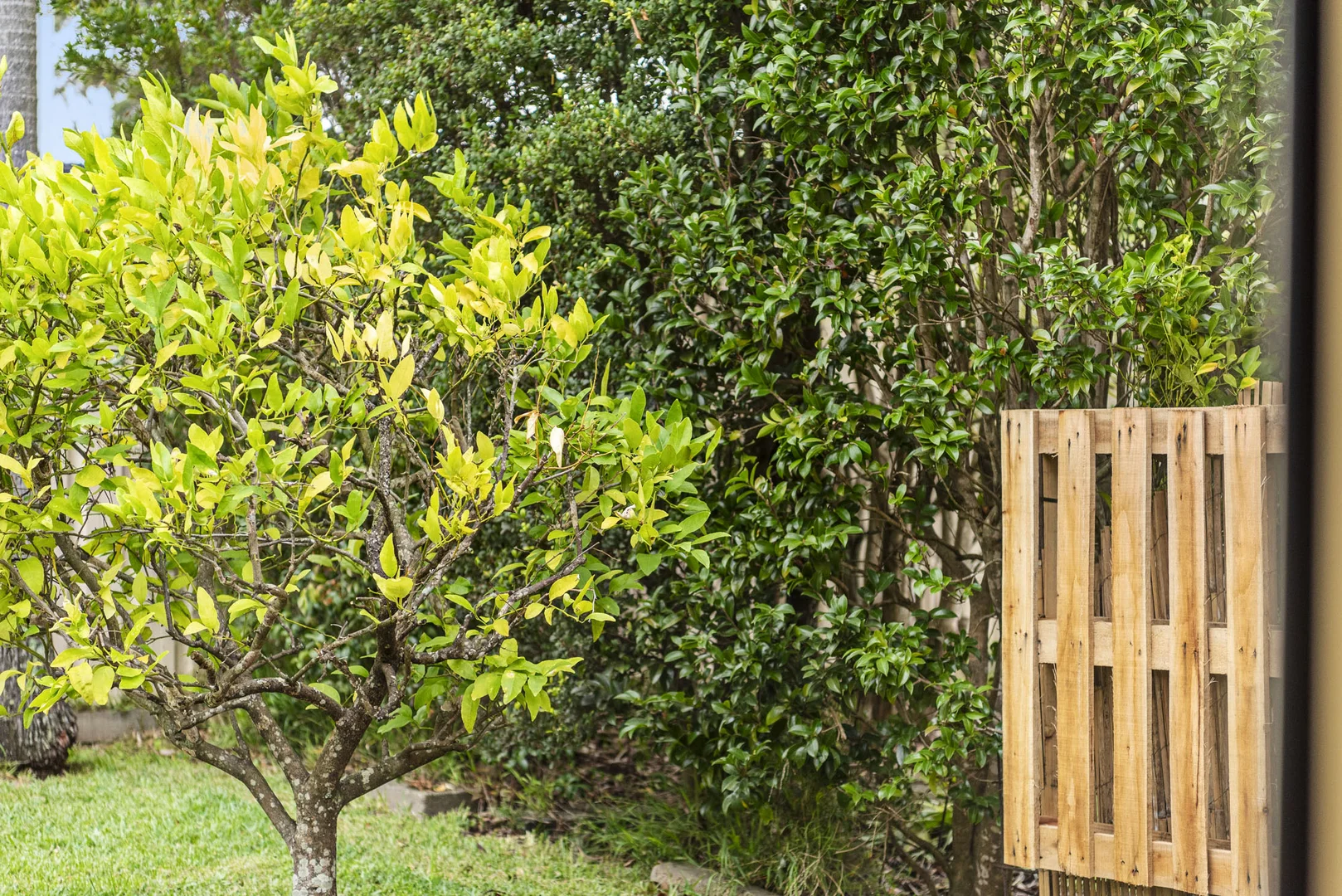 Additional image 24 of 12 Ross Avenue, Narrawallee NSW 2539