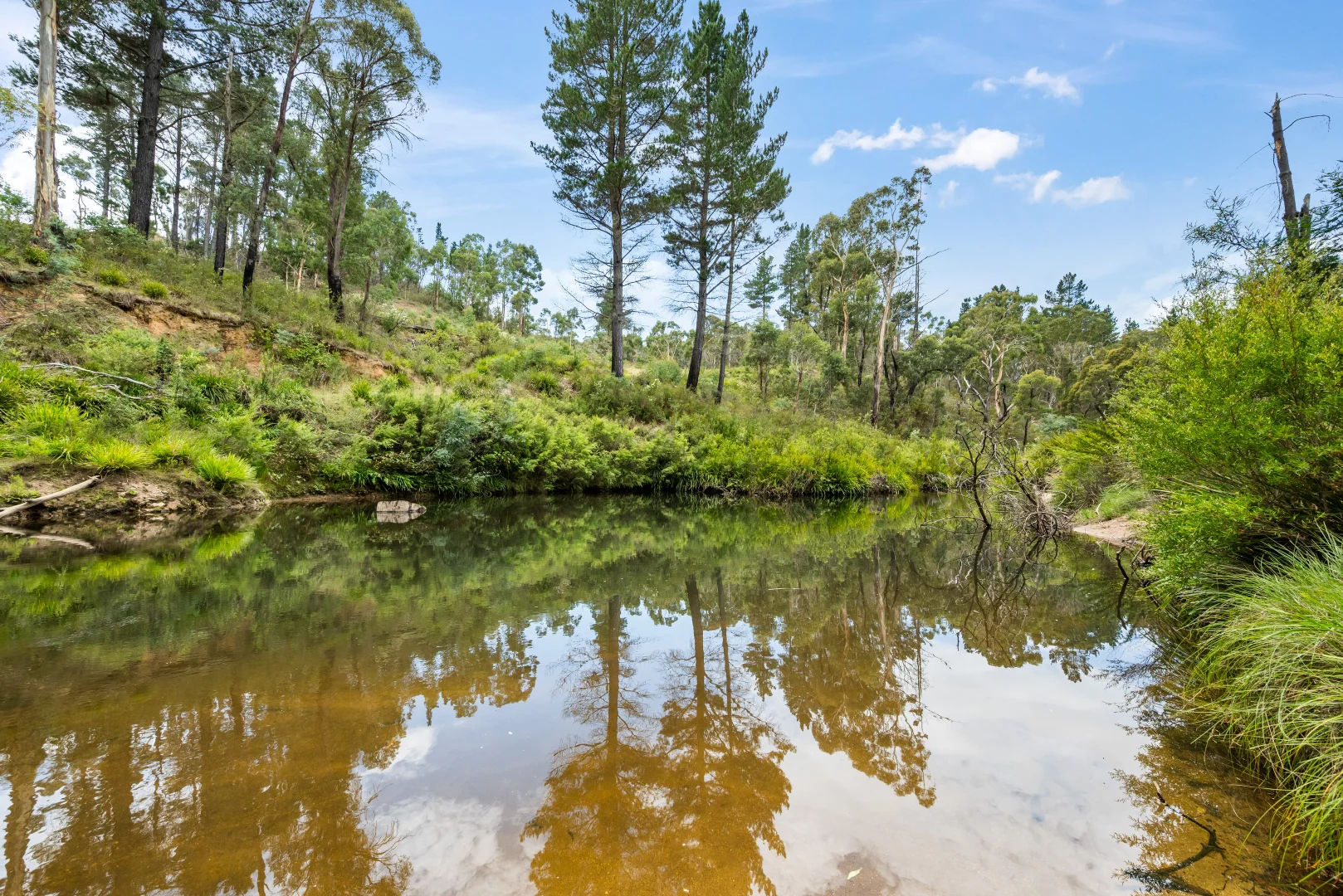 Additional image 32 of 7288 Nerriga Road, Braidwood NSW 2622