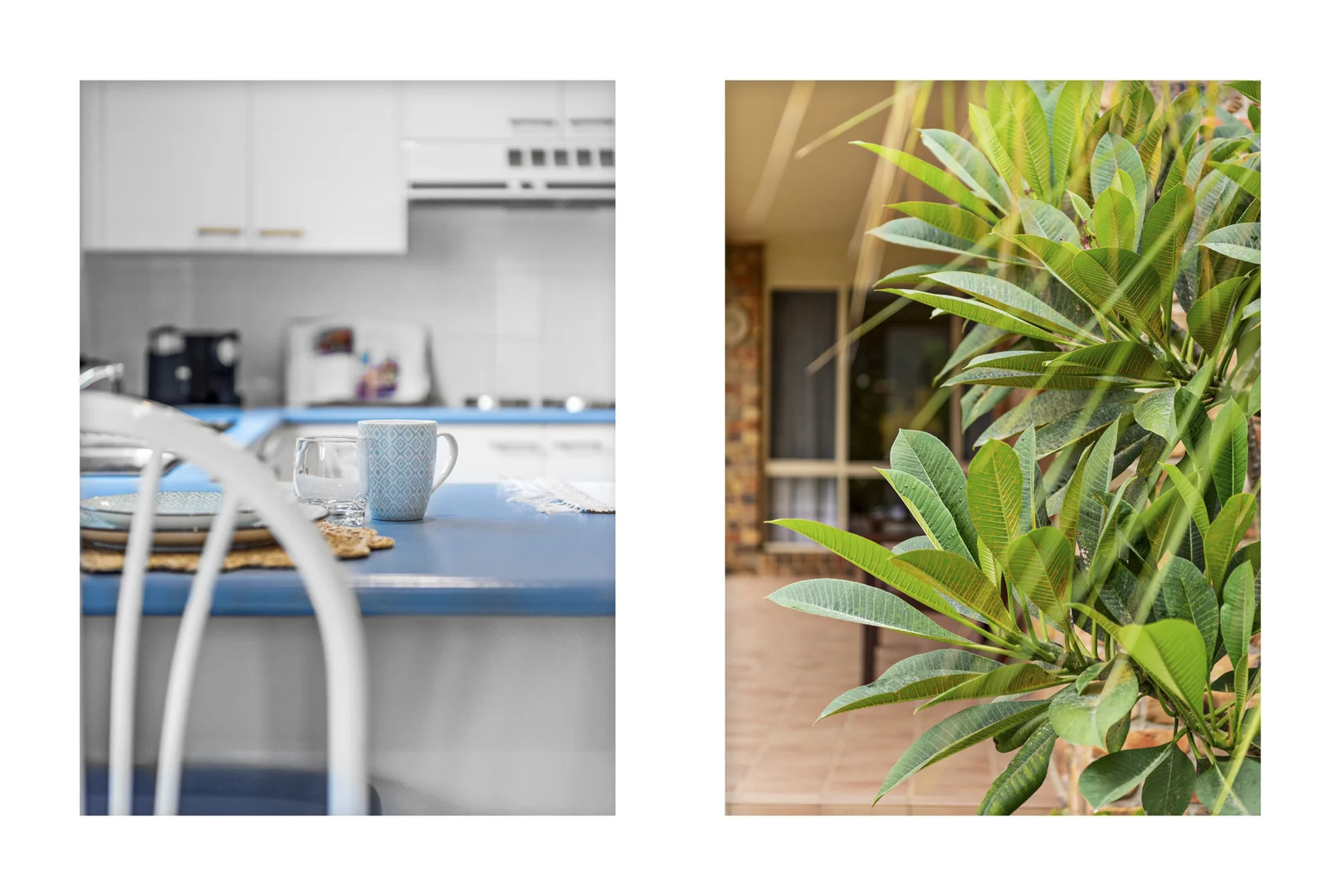 Additional image 28 of 12 Ross Avenue, Narrawallee NSW 2539