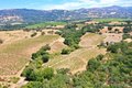 Additional image 43 of 25845 Dutcher Creek Rd, Cloverdale, CA, 95425