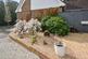 Additional image 21 of Cackle Street, Brede, East Sussex TN31