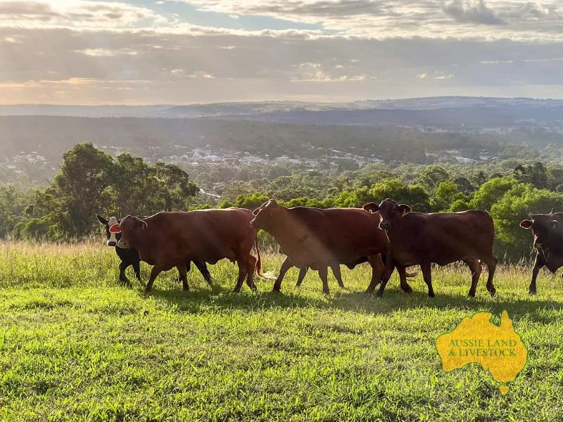 Additional image 24 of 6, . RURAL ROAD, Nanango QLD 4615