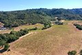 Additional image 66 of 25845 Dutcher Creek Rd, Cloverdale, CA, 95425