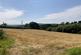 Additional image 3 of Penrherber, Newcastle Emlyn, Carmarthenshire, SA38 9RS
