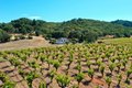 Additional image 52 of 25845 Dutcher Creek Rd, Cloverdale, CA, 95425