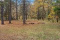 Additional image 34 of 1412 N Main Ave, White Salmon, WA, 98672