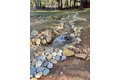 Additional image 46 of 12528 Rattlesnake Rd, Grass Valley, CA, 95945