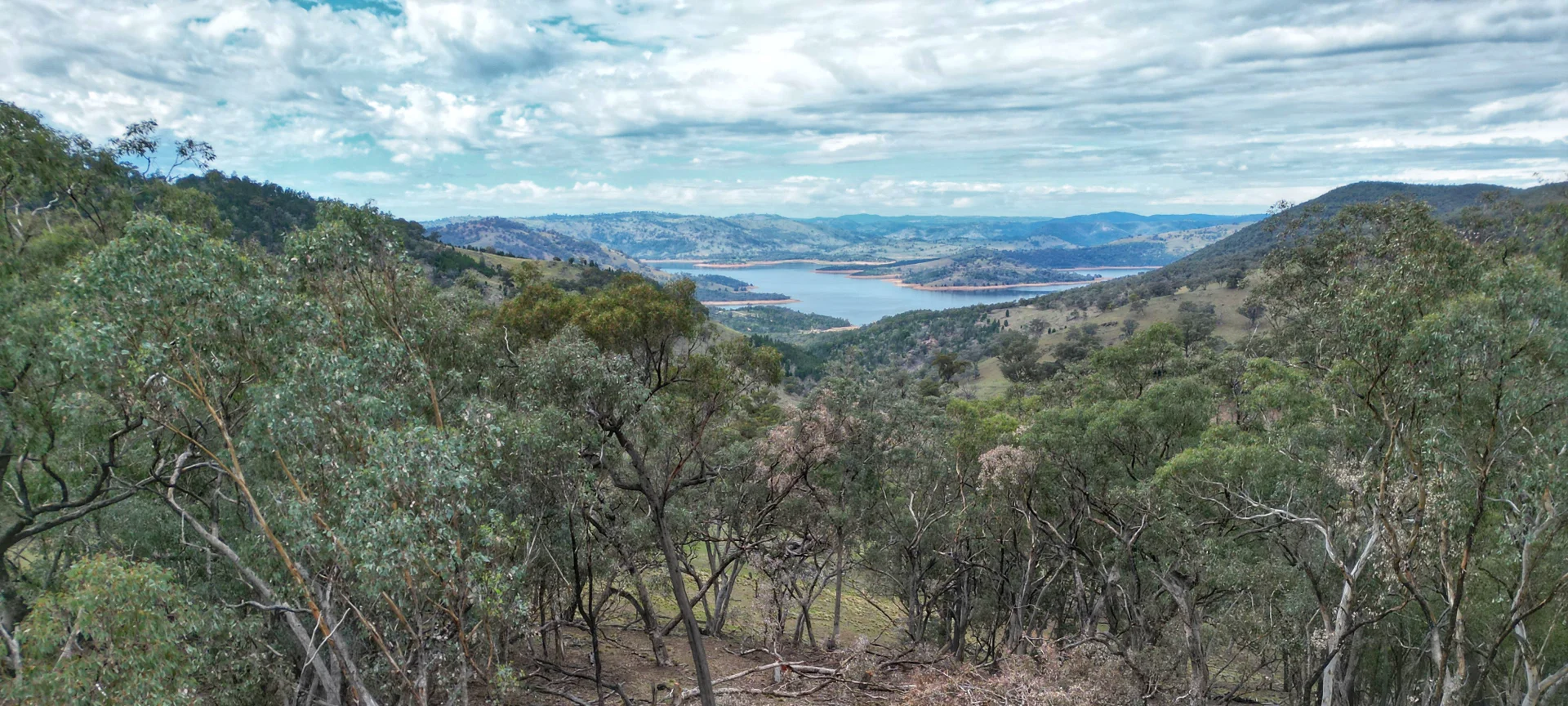 Additional image 19 of 1993 Reg Hailstone Way, Wyangala NSW 2808