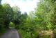 Additional image 2 of Auchentroig Wood, Buchlyvie FK8