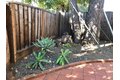 Additional image 21 of 21 Waverley Ct Apt 4, Menlo Park, CA, 94025