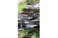 Additional image 27 of 47 E Catskill Trl, Monticello, NY, 12701