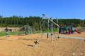 Additional image 36 of 20339 Eagle Ln E Unit 30, Bonney Lake, WA, 98391