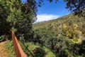 Additional image 37 of 281 Spinks Canyon Rd, Bradbury, CA, 91008