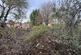 Additional image 14 of Hartlands, Bedlington, Northumberland, NE22 6JF