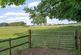 Additional image 25 of Roe Downs Road, Medstead, Alton, Hampshire, GU34
