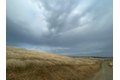 Additional image 26 of Hawk Trl, Shingle Springs, CA, 95682