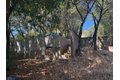 Additional image 3 of 105 Silverline Rd, Los Gatos, CA, 95033