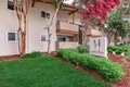 4401 Central Ave, Fremont, CA, 94536