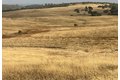 Additional image 17 of Hawk Trl, Shingle Springs, CA, 95682