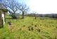 Additional image 21 of Ammanford CARMARTHENSHIRE