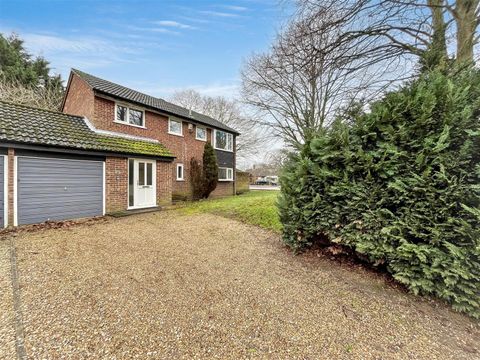 Peverell Road, Norwich NR5