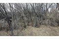 Additional image 2 of Palm St Lot 2, Mchenry, IL, 60051