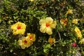 Additional image 35 of 281 Spinks Canyon Rd, Bradbury, CA, 91008