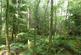 Additional image 3 of Auchentroig Wood, Buchlyvie FK8
