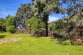 Additional image 41 of 281 Spinks Canyon Rd, Bradbury, CA, 91008