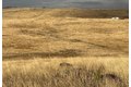 Additional image 21 of Hawk Trl, Shingle Springs, CA, 95682