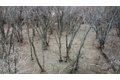 Additional image 4 of Palm St Lot 2, Mchenry, IL, 60051
