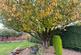 Additional image 18 of 16 Strand Way, Royton, Oldham, OL2 5BG