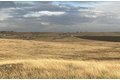 Additional image 14 of Hawk Trl, Shingle Springs, CA, 95682