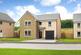 Falkland at Seven Sisters Sequoia Grove, Cambusbarron, Stirling FK7