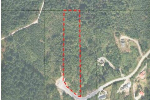 Additional image 5 of 28465 123 Avenue, Maple Ridge, BC, V2W 1M1