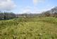 Additional image 20 of Ammanford CARMARTHENSHIRE