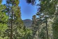Additional image 31 of 24607 Altdorf Dr, Crestline, CA, 92325