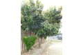 Additional image 18 of 4812 Gregerson Ct, Salida, CA, 95368