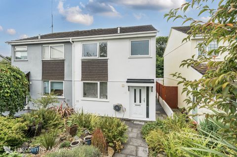 Bainbridge Court, Colebrook, Plympton PL7