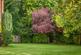 Additional image 11 of Sleepers Hill, Winchester, Hampshire, SO22