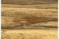 Additional image 12 of Hawk Trl, Shingle Springs, CA, 95682