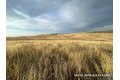 Additional image 19 of Hawk Trl, Shingle Springs, CA, 95682
