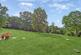 Additional image 21 of The Drive, Ickenham, Uxbridge, Middlesex