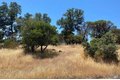 Additional image 7 of 16717 Hawks Hill Rd, Hidden Valley Lake, CA, 95467