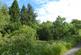 Auchentroig Wood, Buchlyvie FK8