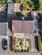 Additional image 25 of Parkside Avenue, Long Eaton