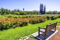 Additional image 47 of 585 S Winchester Blvd, San Jose, CA, 95128
