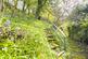 Additional image 6 of Nadderwater, Exeter