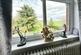 Additional image 23 of Doncaster Road, Barnsley S73
